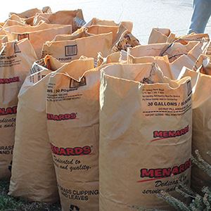 Photo of bags of leaves 
