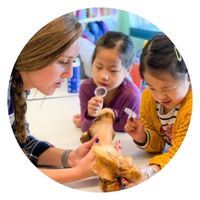 Female educator and two young girls examining a bone with magnifying glasses
