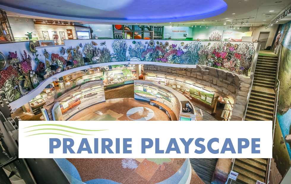 Prairie Playscape 